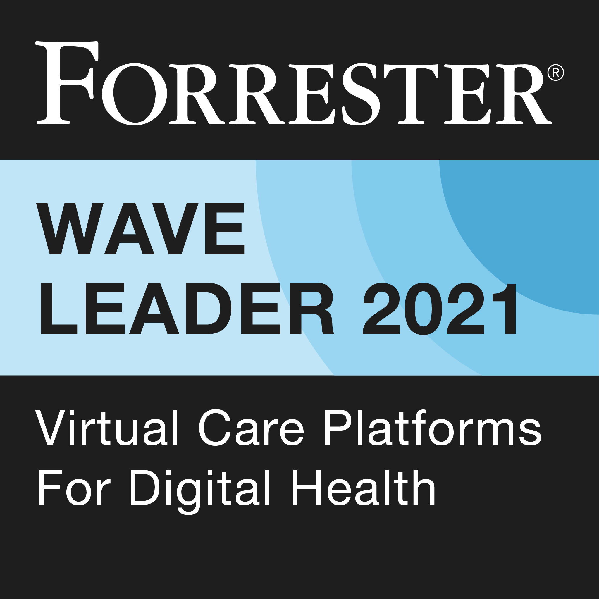 Forrester Wave eVisit Solo Leader-1